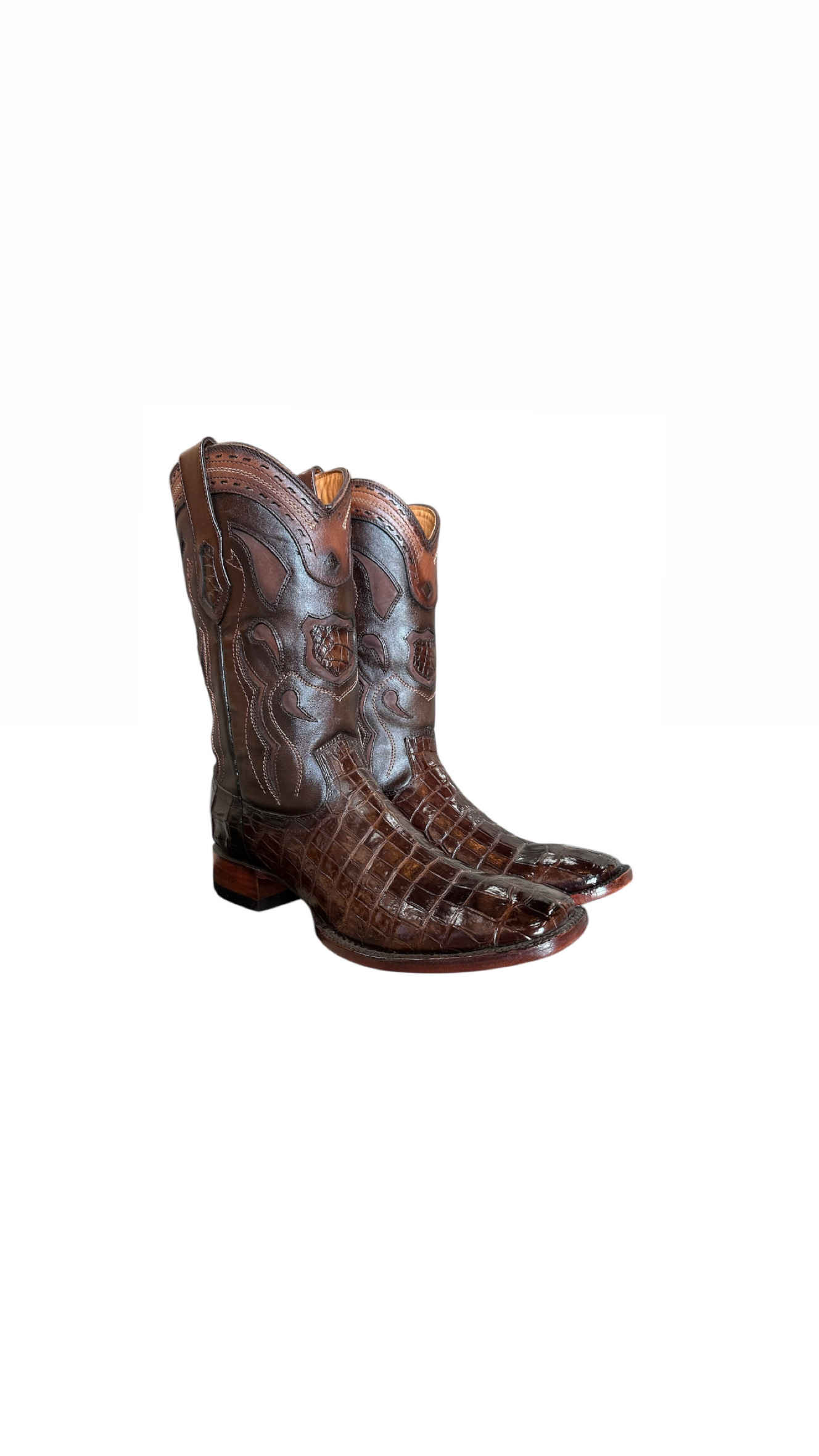 31 COCO CAFE HORMA BULLDOG