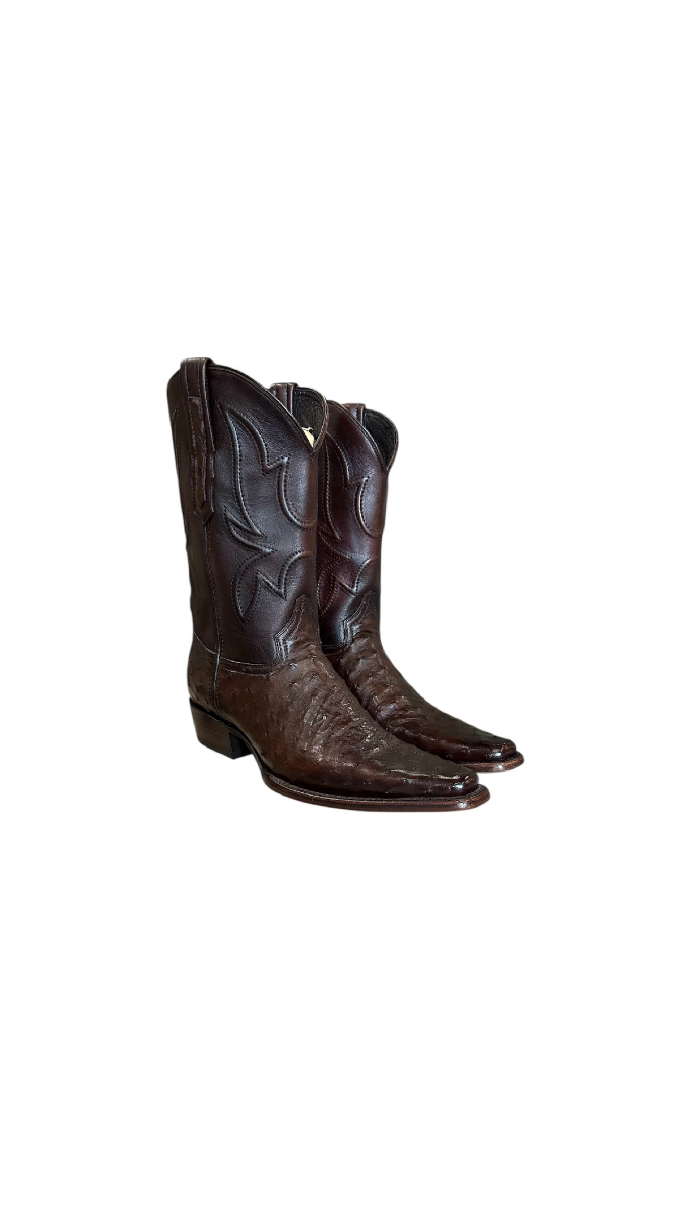 8 AVESTRUZ CAFE HORMA VERSACE